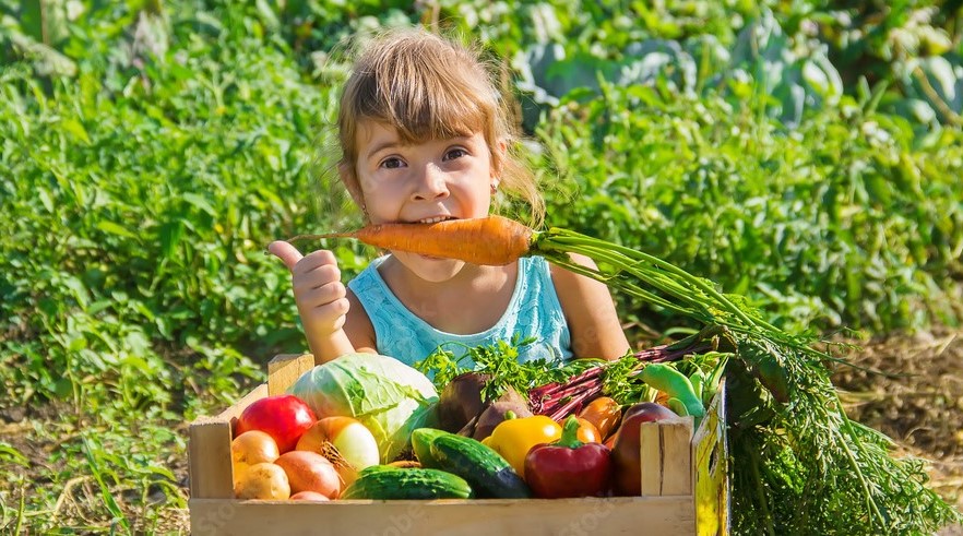 Franchises Ecologie et environnement